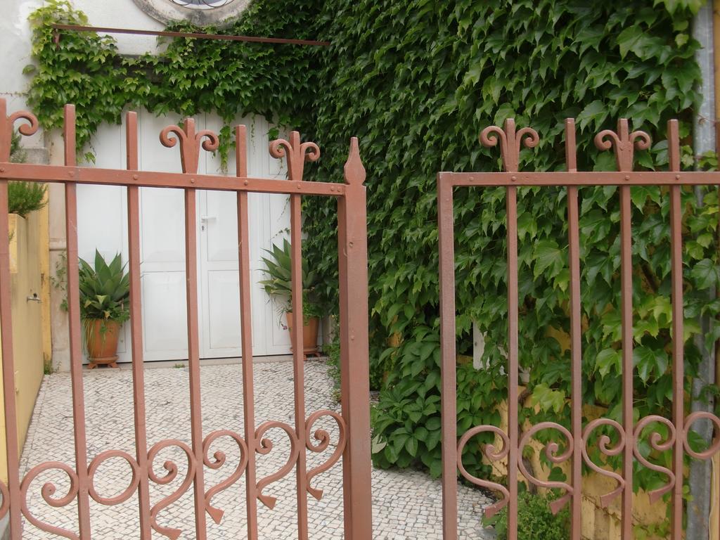 Adore Portugal Coimbra Guest House Ngoại thất bức ảnh